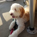 20180919_181824 Cash