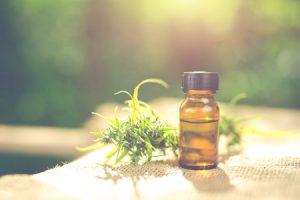 Cbd oil for dogs and other pets